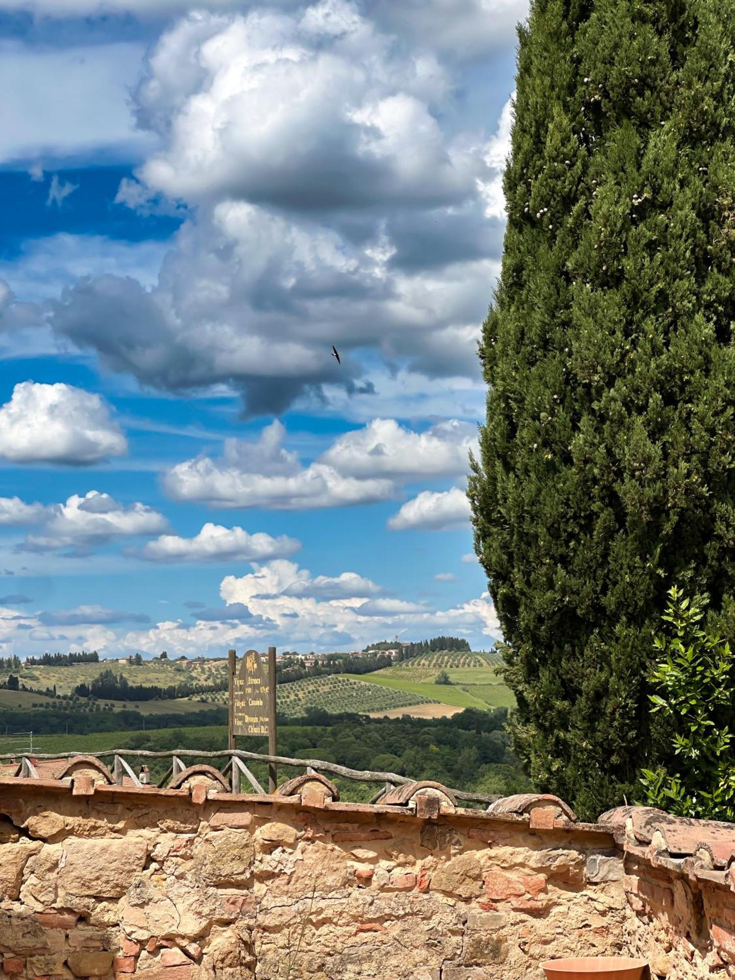 Agriturismo Fattoria Sant'Appiano Vila Barberino di Val dʼElsa Exterior foto