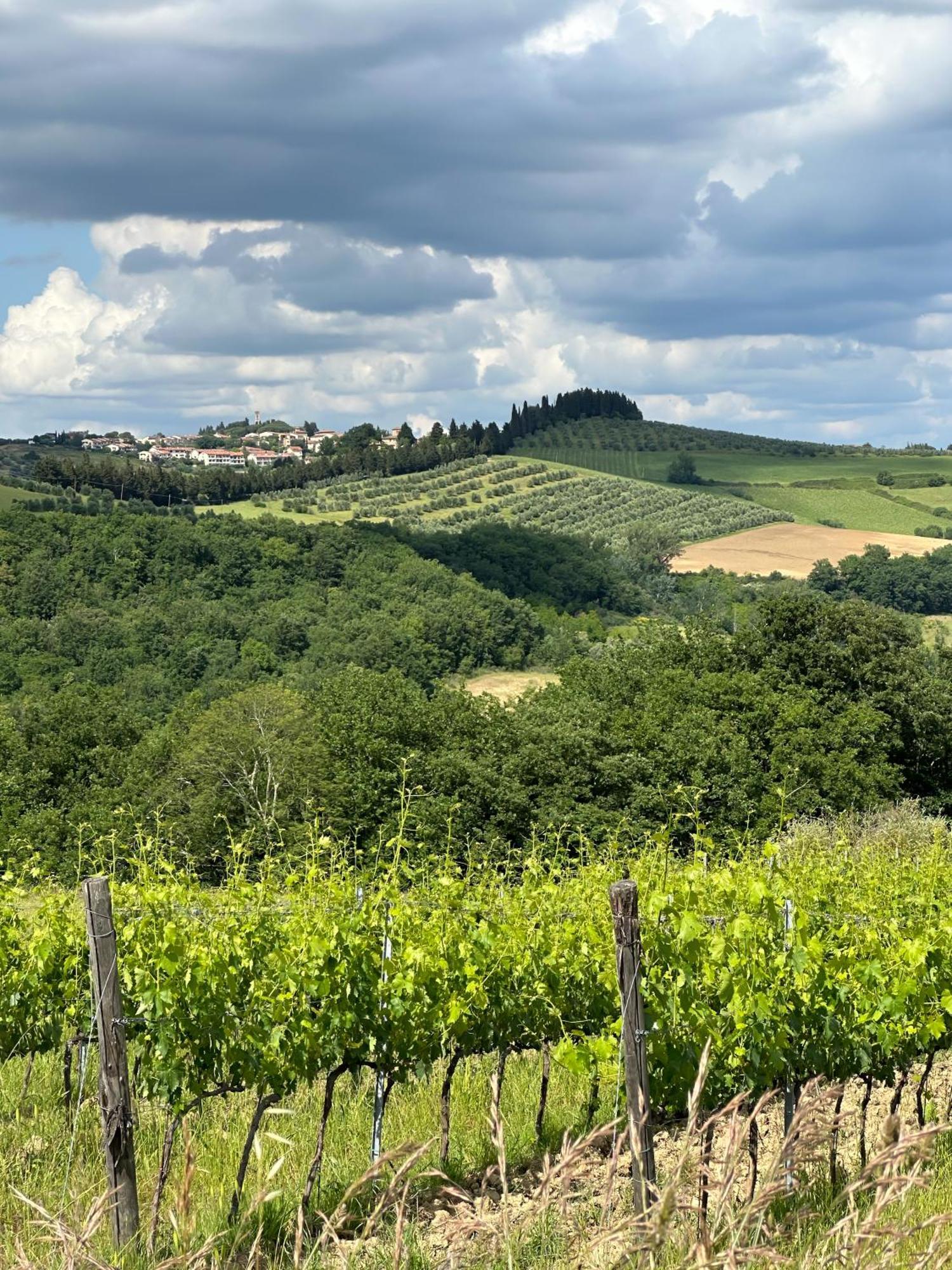 Agriturismo Fattoria Sant'Appiano Vila Barberino di Val dʼElsa Exterior foto